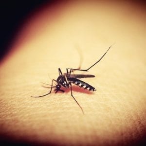 MALARIA: Between One Million and Two Million Deaths Each Year Worldwide.  This Company is on Target to Treat Severe Malaria